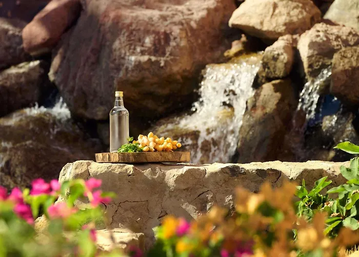 Movenpick & El Gouna Hurgada
